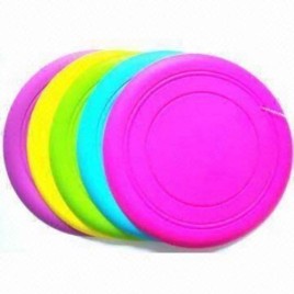 Plastic Sports Disc