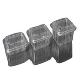 Hinged Plastic Packaging Container