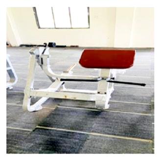 Plate-Loaded Seated Bicep Machine