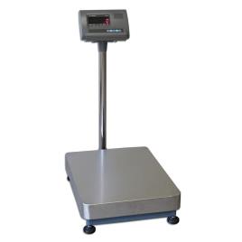 Industrial Platform Scale