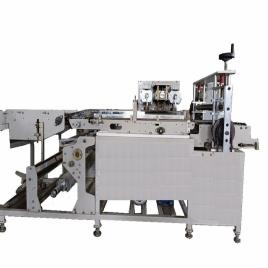 Automatic Pouch Packing Machine