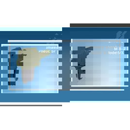Automatic Pneumatic Sealer