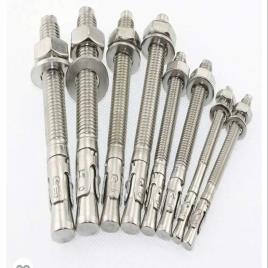 SS 304 Polished Wedge Anchor