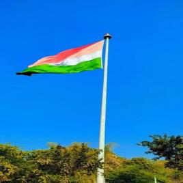 Polished Steel Stadium Flag Pole