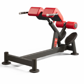 Polished Strength Hyperextension Bench