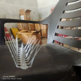 Polycarbonate Bird Spike for Buildings