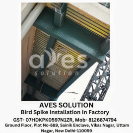 Polycarbonate Bird Spikes for Buildings