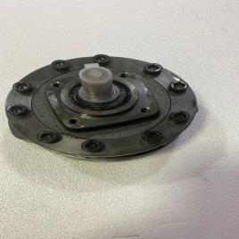 Polyhydron Radial Piston Pump