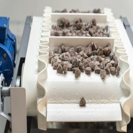 Polyurethane Sidewall Food Conveyor Belt (2mm)