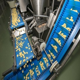 Polyurethane Conveyor Belt