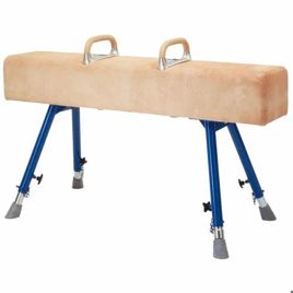 Standard Pommel Horse