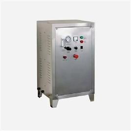 Pool Water Ozonizer Equipment