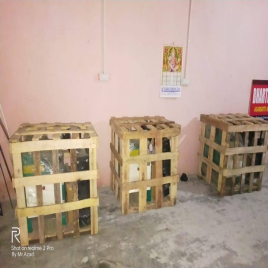 Popcorn Making Machine (300g batch)