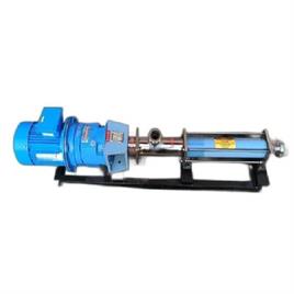 Industrial SS Vane Pump