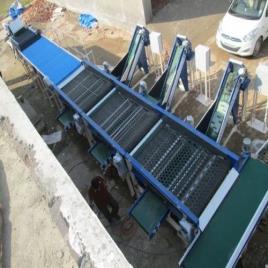 Potato Sizing Equipment