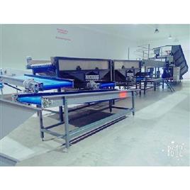 Steel Potato Sizing Equipment, Agricultural