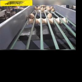 Potato Sizing Machine, 1 HP Motor