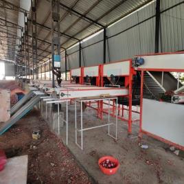 Mild Steel Potato Grading Equipment