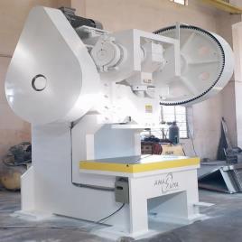 250 Ton Hydraulic Press