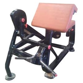 Gym Preacher Curl Machine