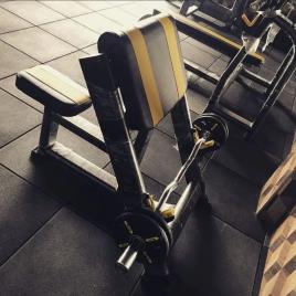 Commercial Preacher Curl Bench
