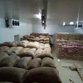 Precision Climate Seed Storage Machine