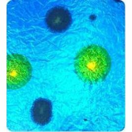 Printed Multicolor Glow Fibre Sheet