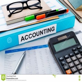 Professional Accounting Consultant Services