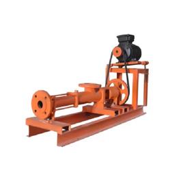 Progressive Cavity Pump, Electric