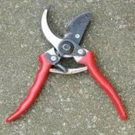 Heavy Duty Pruning Shear