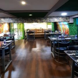 Pub Interior Designing Service