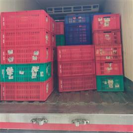 PUF Insulated Transport Vehicle