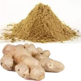 Ginger Powder