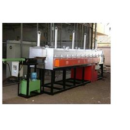 Pusher Continuous Industrial Furnace