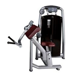 RSE Biceps Triceps Gym Machine