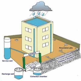 Rain Water Collection System
