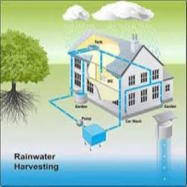 Rainwater Collection System