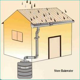 Rainwater Collection