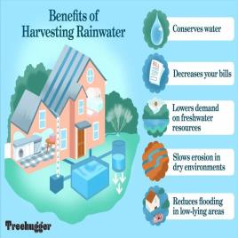 Rainwater Management Services