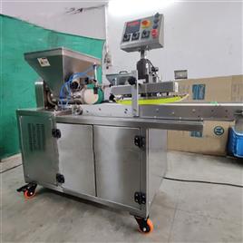 Rasgulla Gulabjamun Production Machine