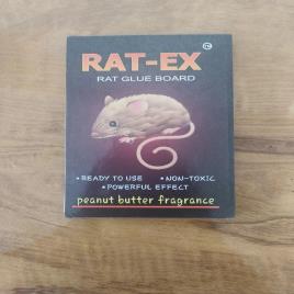 Cardboard Rat Glue Trap