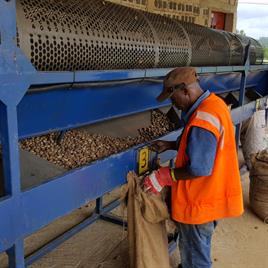 Raw Cashew Nut Calibration Equipment