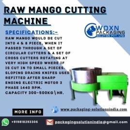 Mild Steel Raw Mango Cutter Machine