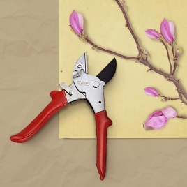 Red Anvil Secateurs, SS Blade