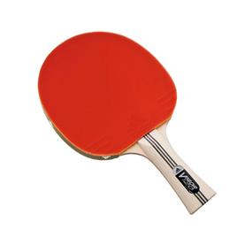 Red Plastic Sports Table Tennis Bat