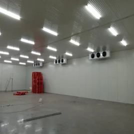 Advanced Refrigeration Equipments