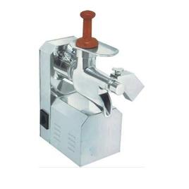 Regular Fruit Juicer Equipment