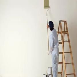 Residential Property Painting Service