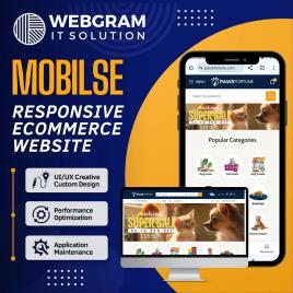 Responsive Website Design Service