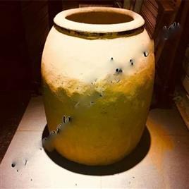 Restaurant Gas Charcoal Tandoor